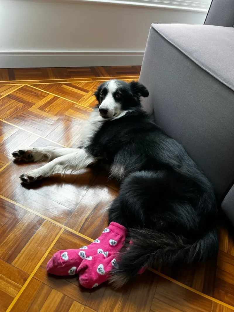 Meias para o inverno